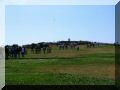 IMG_0870.JPG