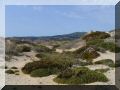 portugal_092.JPG